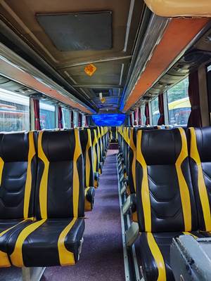 interior bis